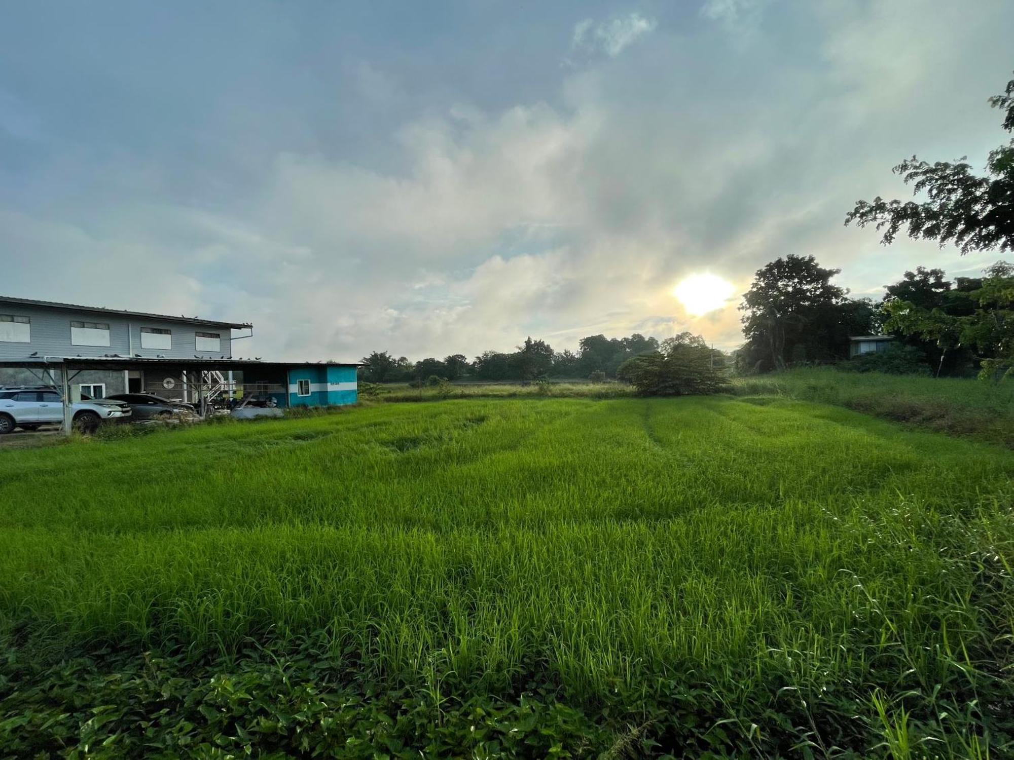 Srihome ยายศรีโฮมแอนแคมป์ปิ้ง Ban Don Tum エクステリア 写真